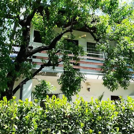 Felix Apartment Biograd بيوغْغاد نا موغو المظهر الخارجي الصورة