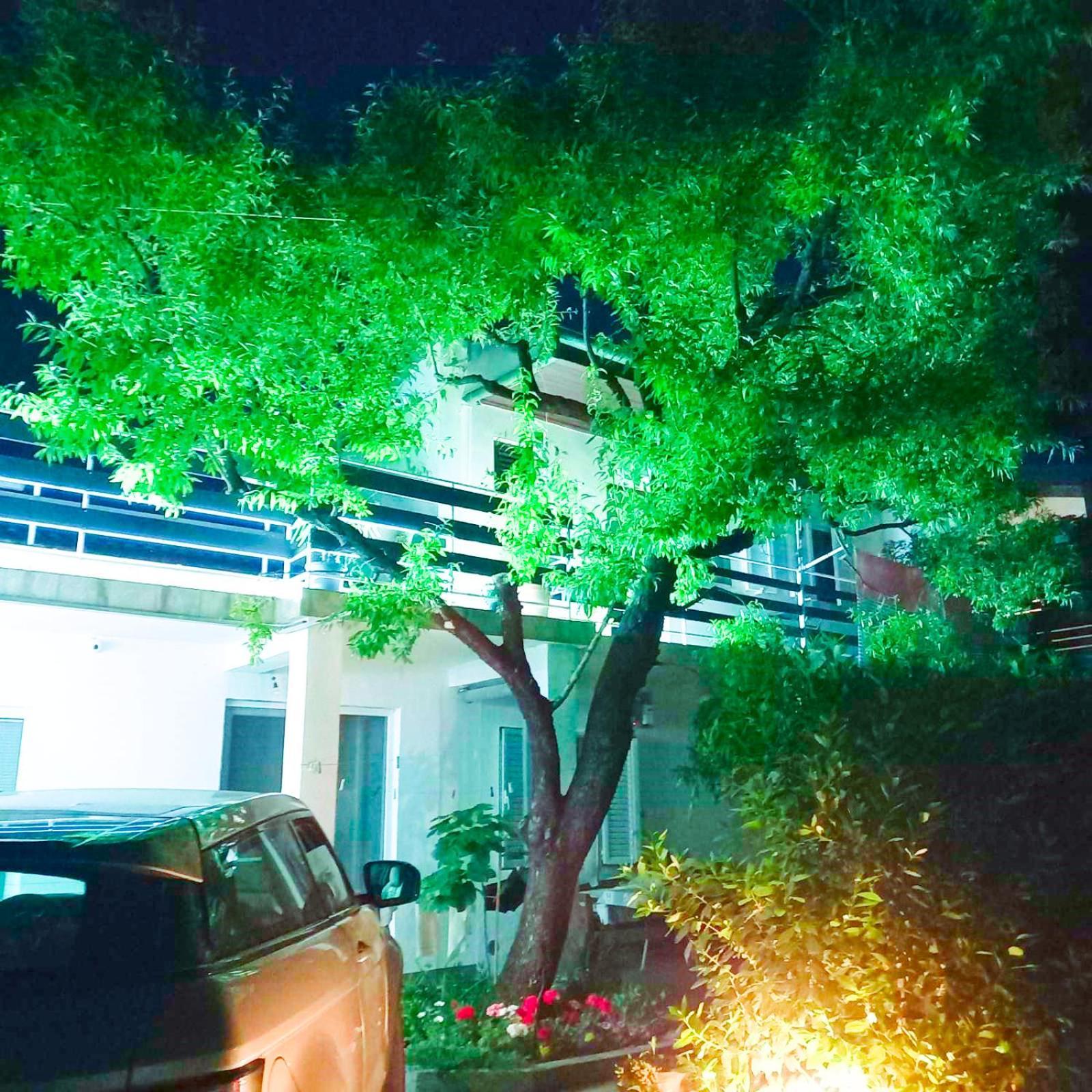 Felix Apartment Biograd بيوغْغاد نا موغو المظهر الخارجي الصورة