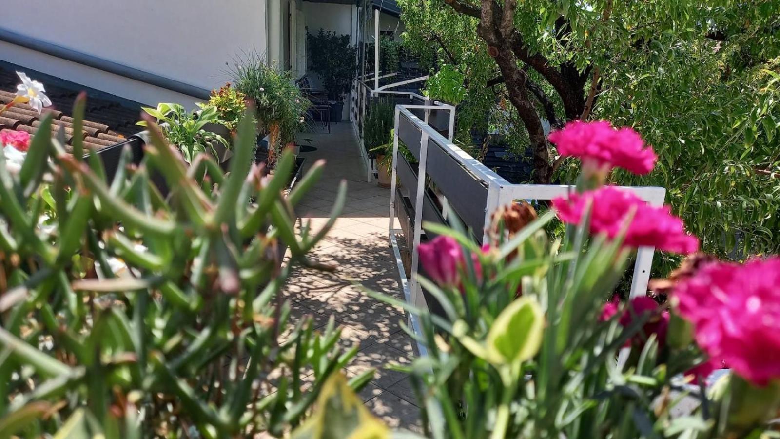 Felix Apartment Biograd بيوغْغاد نا موغو المظهر الخارجي الصورة